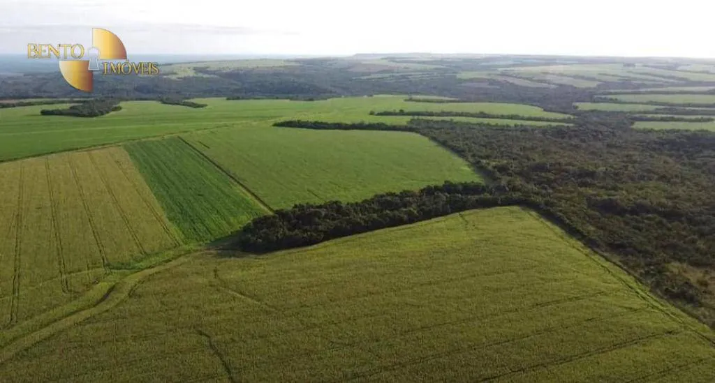 Fazenda à venda de 1.144 ha em Diamantino, MT, Brasil