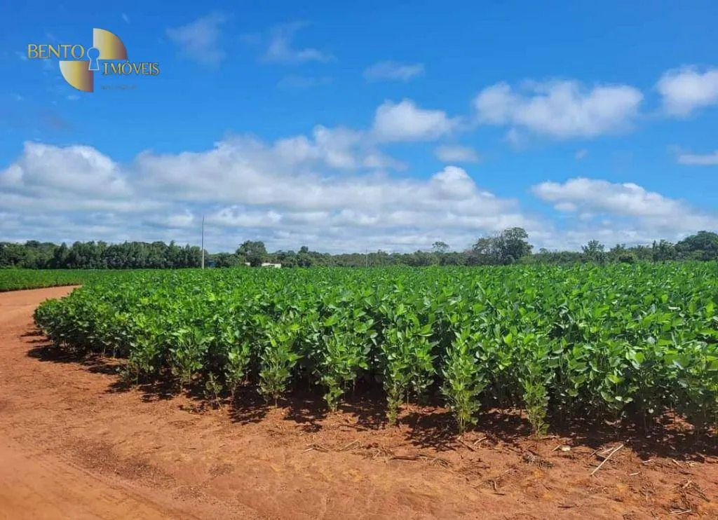 Fazenda à venda de 1.144 ha em Diamantino, MT, Brasil