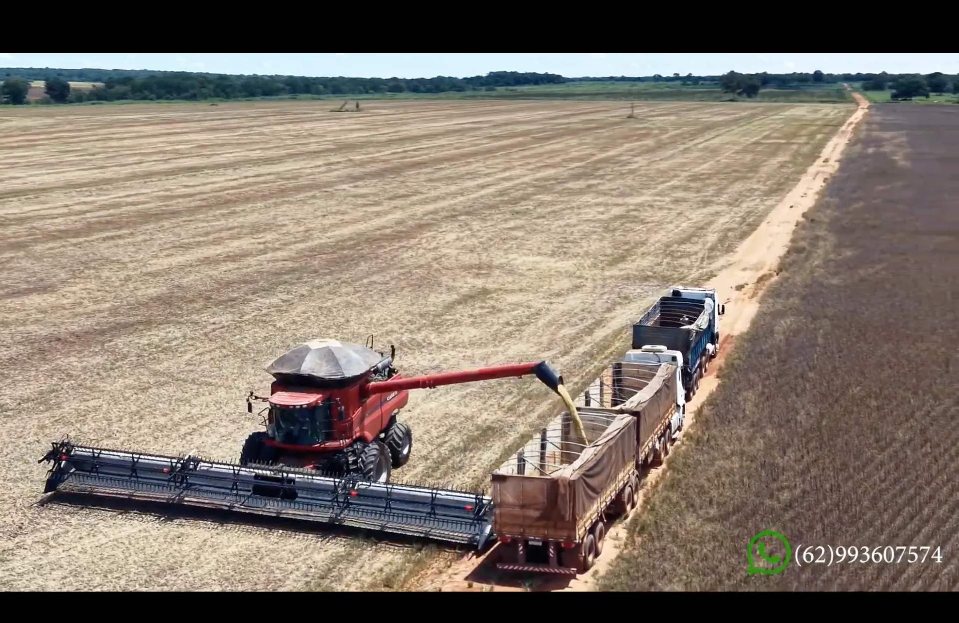 Fazenda à venda de 3.307.601 ha em Bonópolis, GO, Brasil