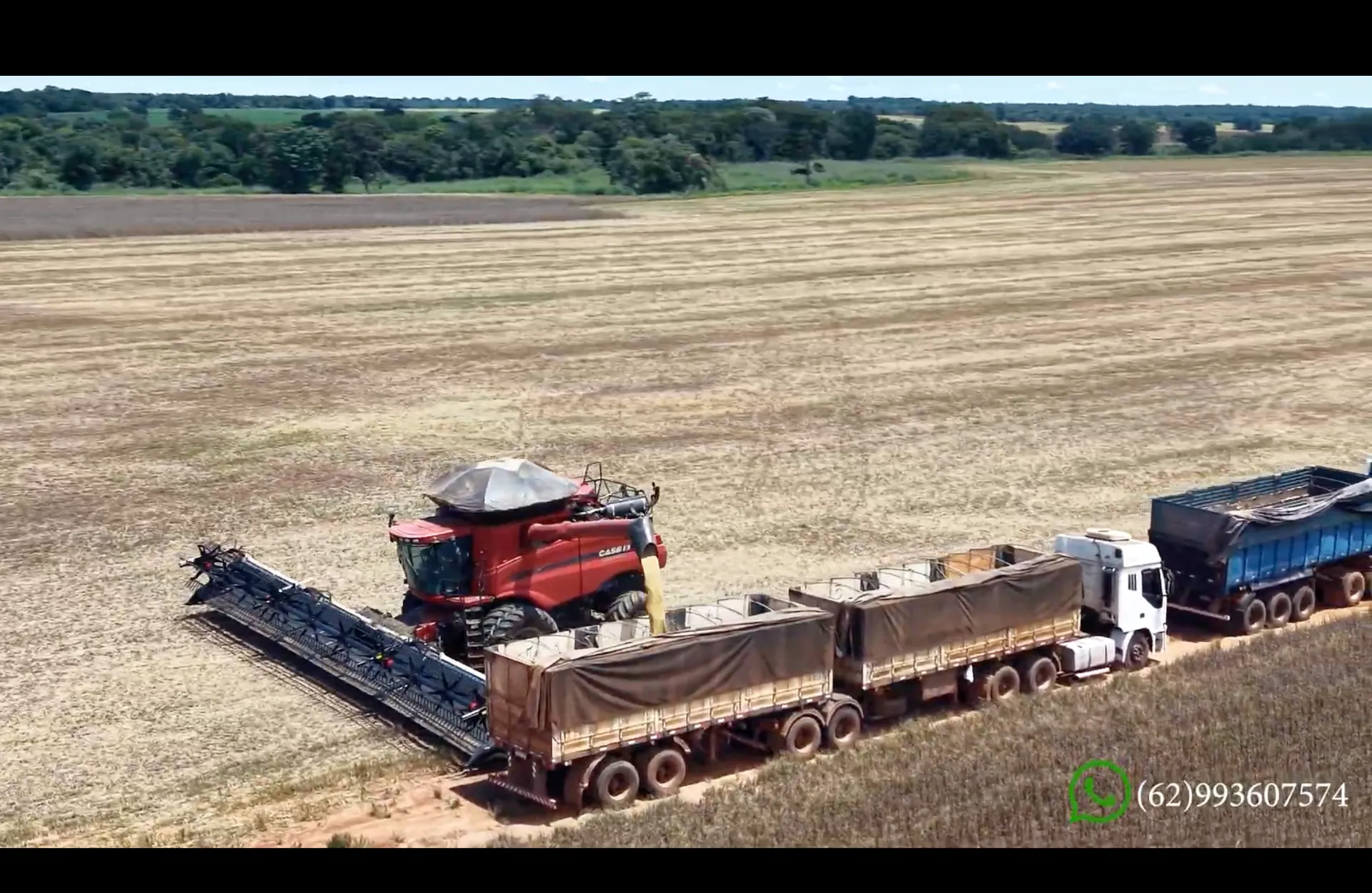 Fazenda à venda de 3.307.601 ha em Bonópolis, GO, Brasil