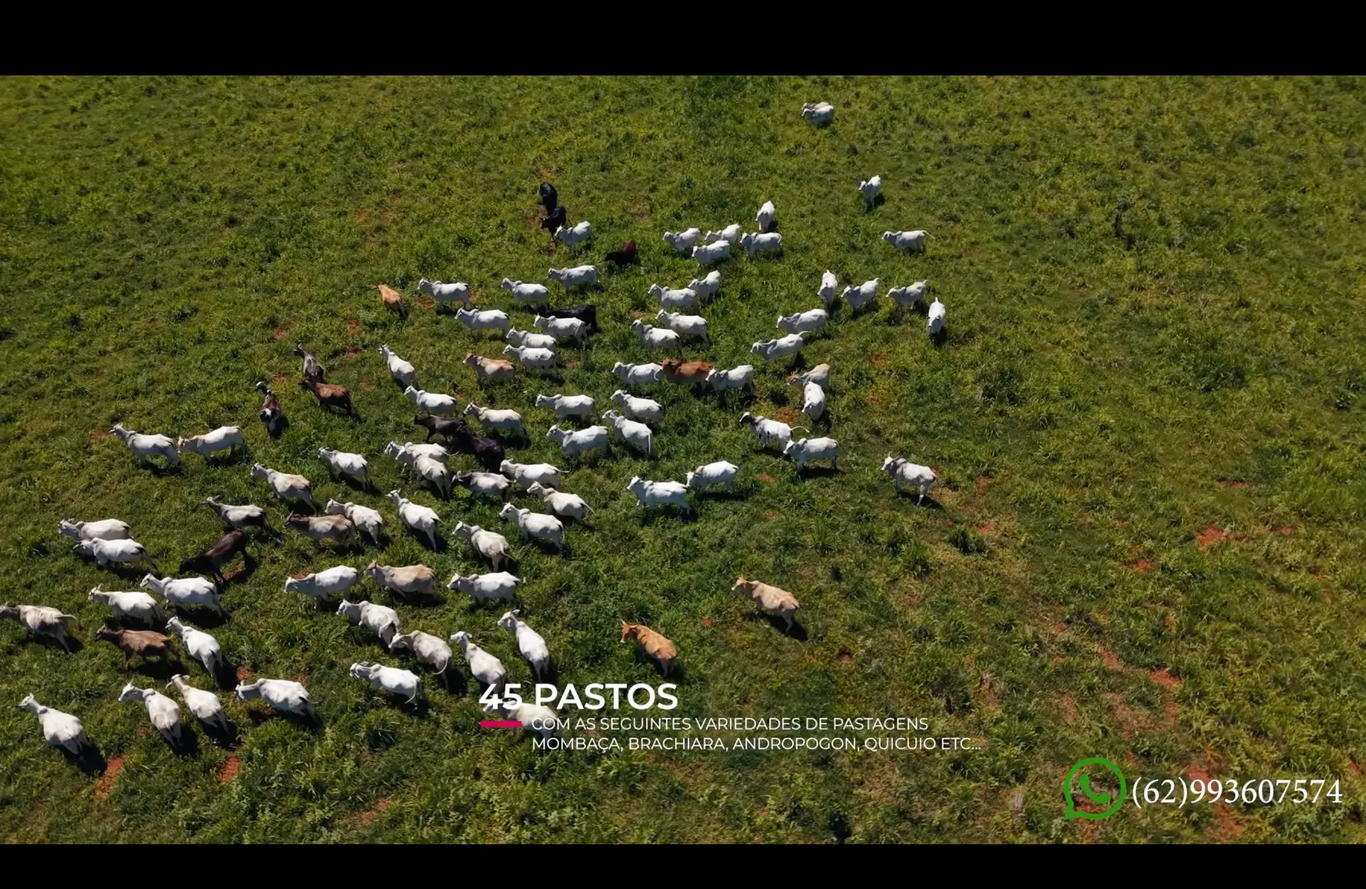Fazenda à venda de 3.307.601 ha em Bonópolis, GO, Brasil