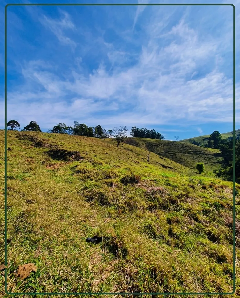 Terreno à venda de 6 ha em Cunha, SP, Brasil