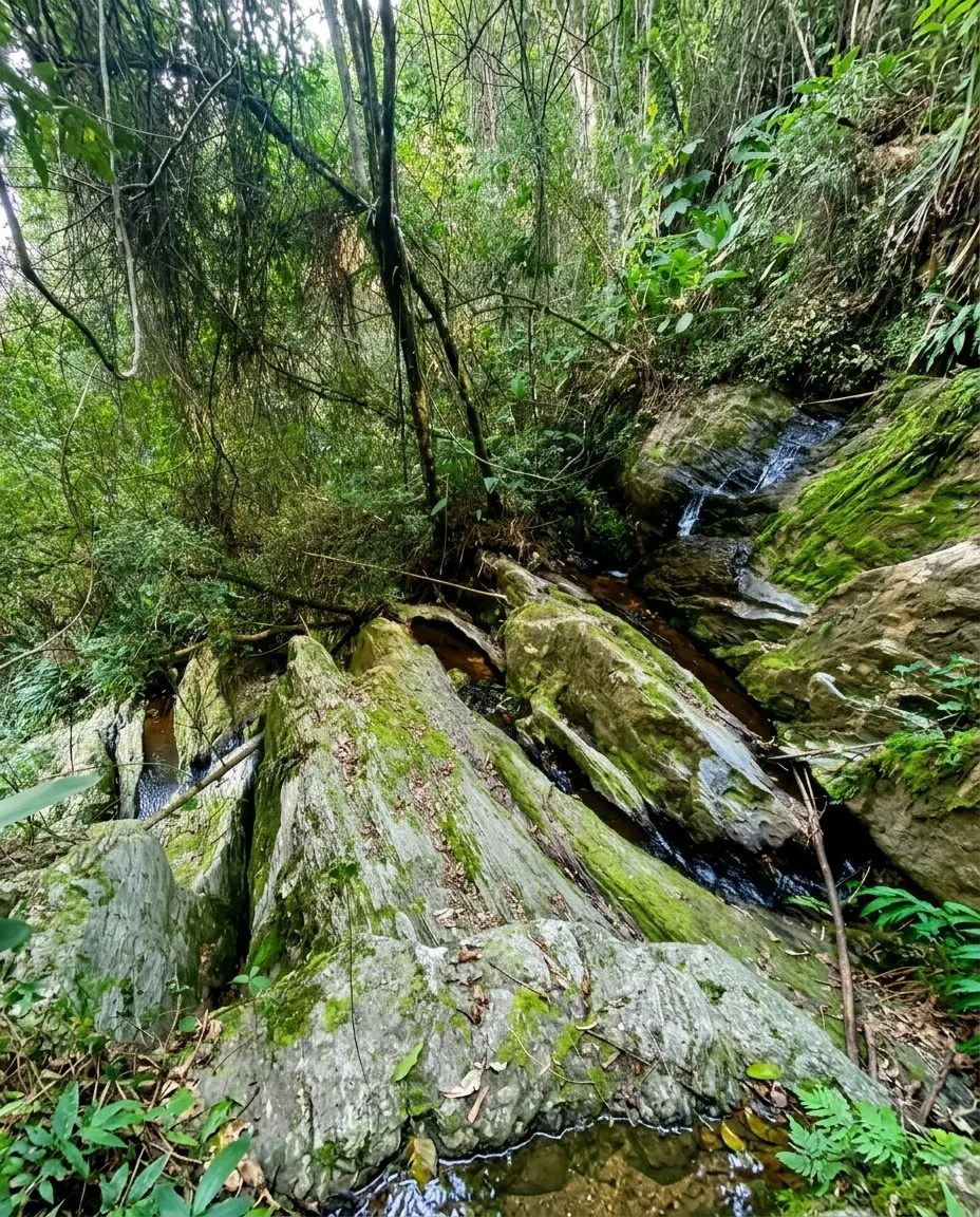 Terreno à venda de 6 ha em Cunha, SP, Brasil