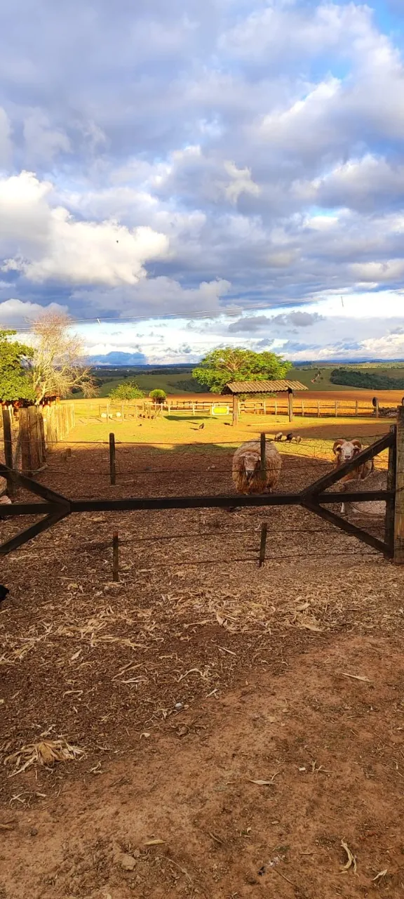 Fazenda à venda de 194 ha em São Miguel Arcanjo, SP, Brasil