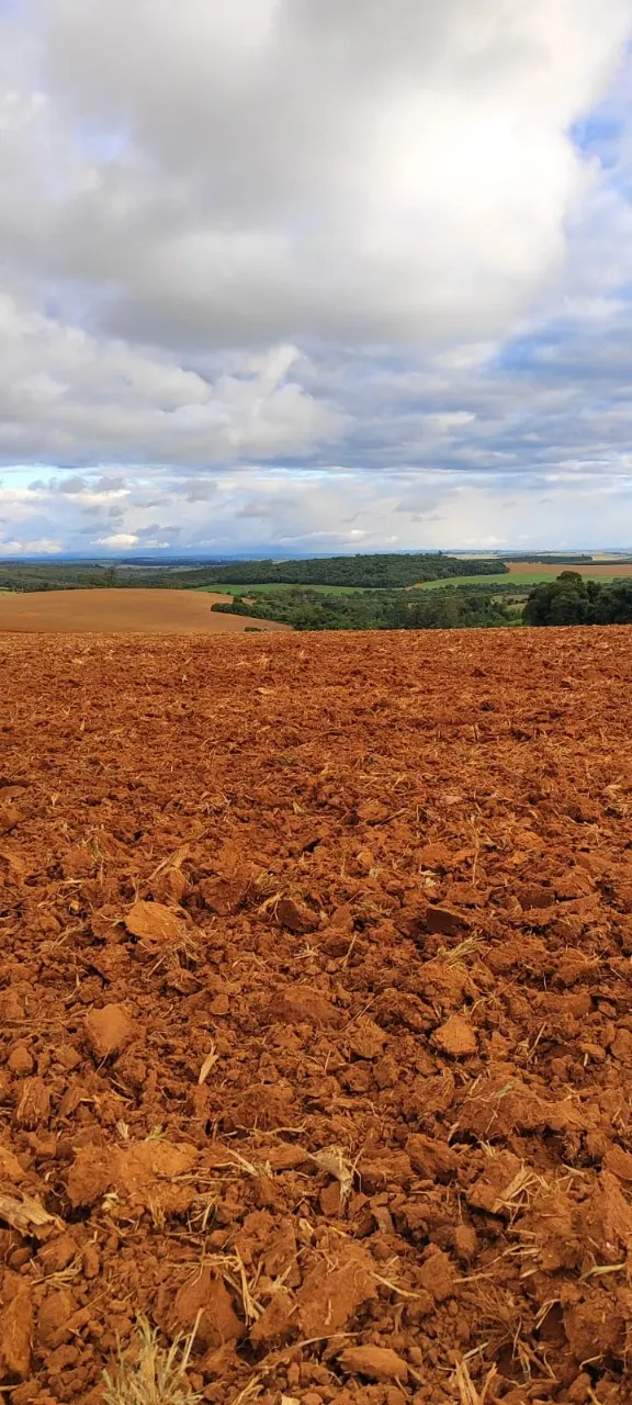 Fazenda à venda de 194 ha em São Miguel Arcanjo, SP, Brasil