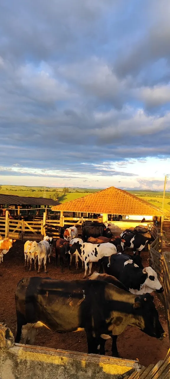 Fazenda à venda de 194 ha em São Miguel Arcanjo, SP, Brasil