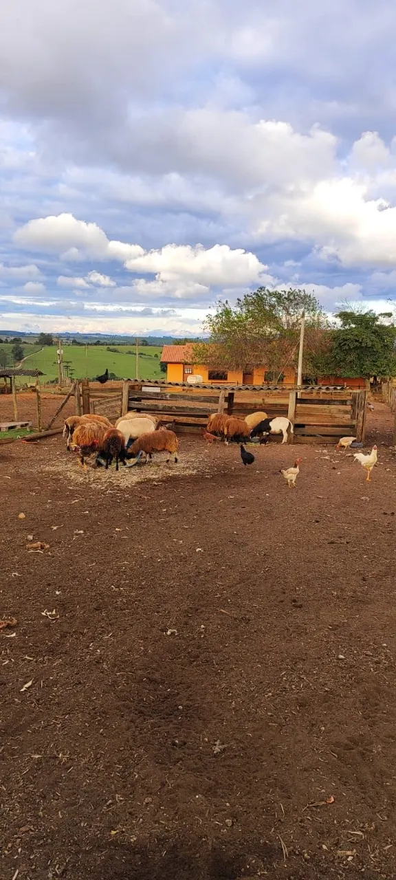 Fazenda à venda de 194 ha em São Miguel Arcanjo, SP, Brasil
