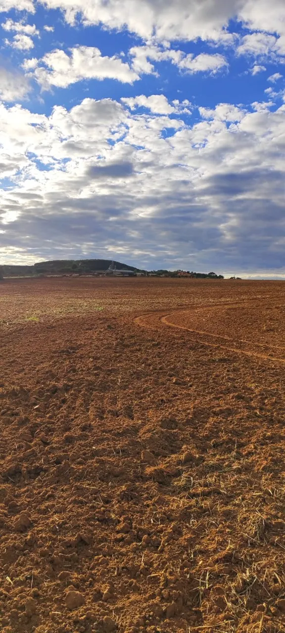 Fazenda à venda de 194 ha em São Miguel Arcanjo, SP, Brasil