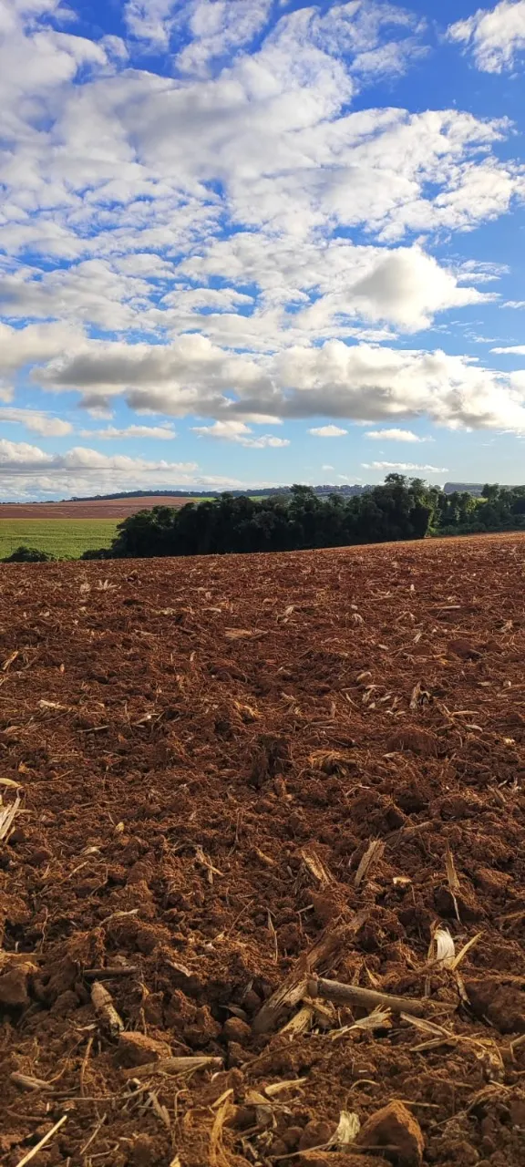 Fazenda à venda de 194 ha em São Miguel Arcanjo, SP, Brasil