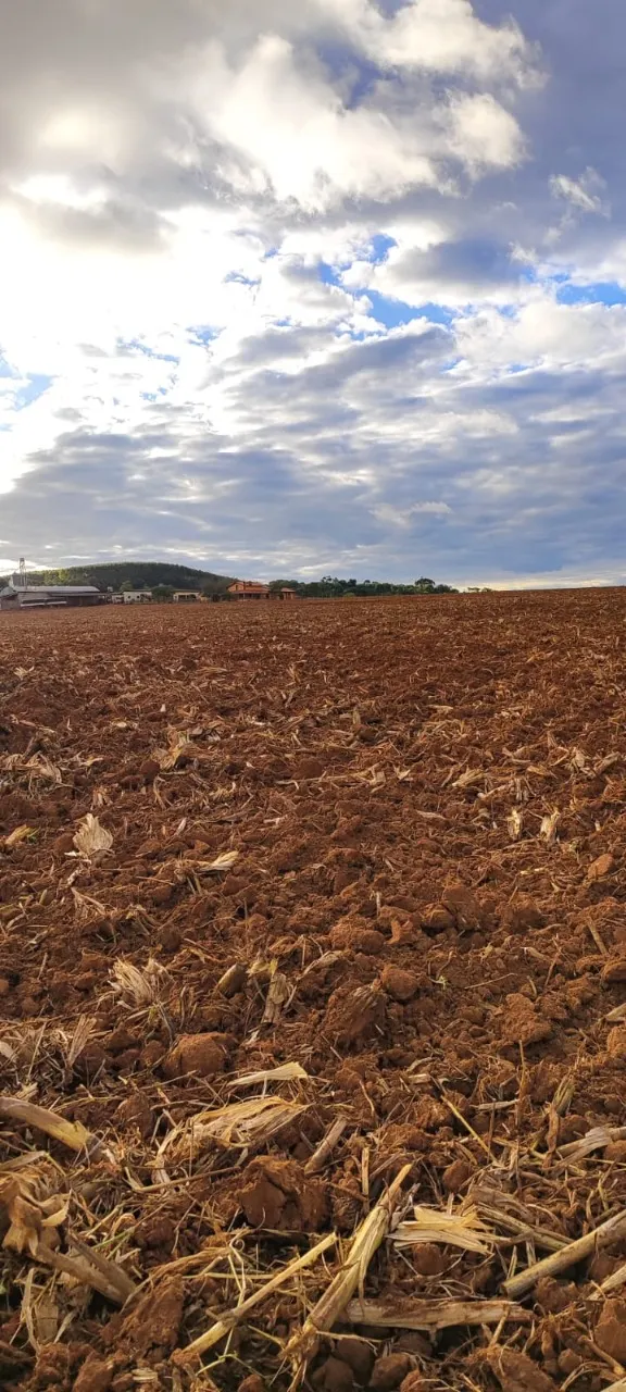 Fazenda à venda de 194 ha em São Miguel Arcanjo, SP, Brasil