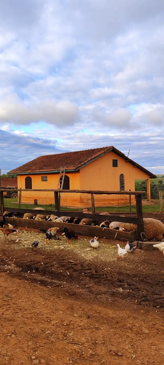Fazenda à venda de 194 ha em São Miguel Arcanjo, SP, Brasil