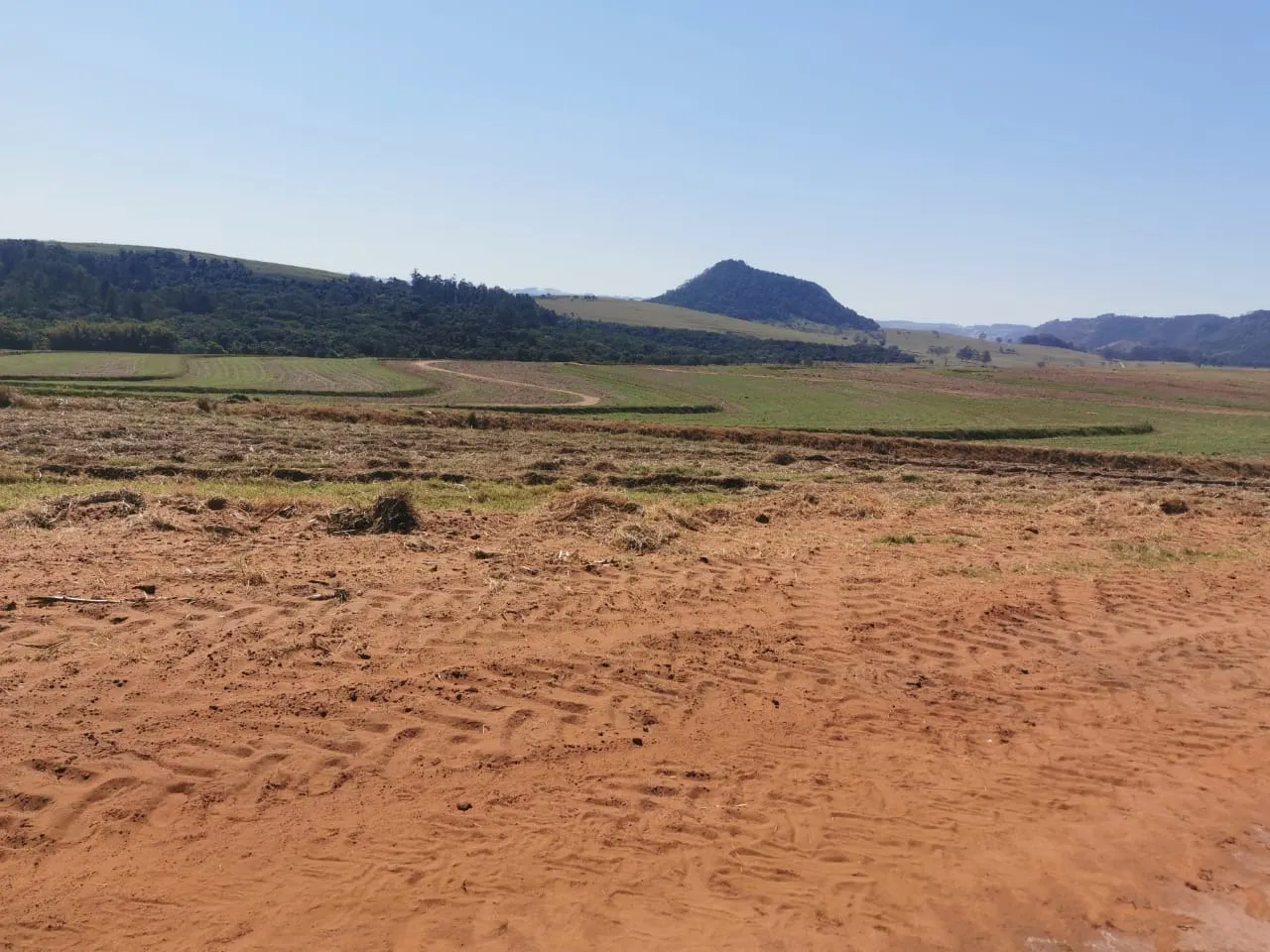 Farm for sale of 855 acres in Santa Maria da Serra, SP, Brazil