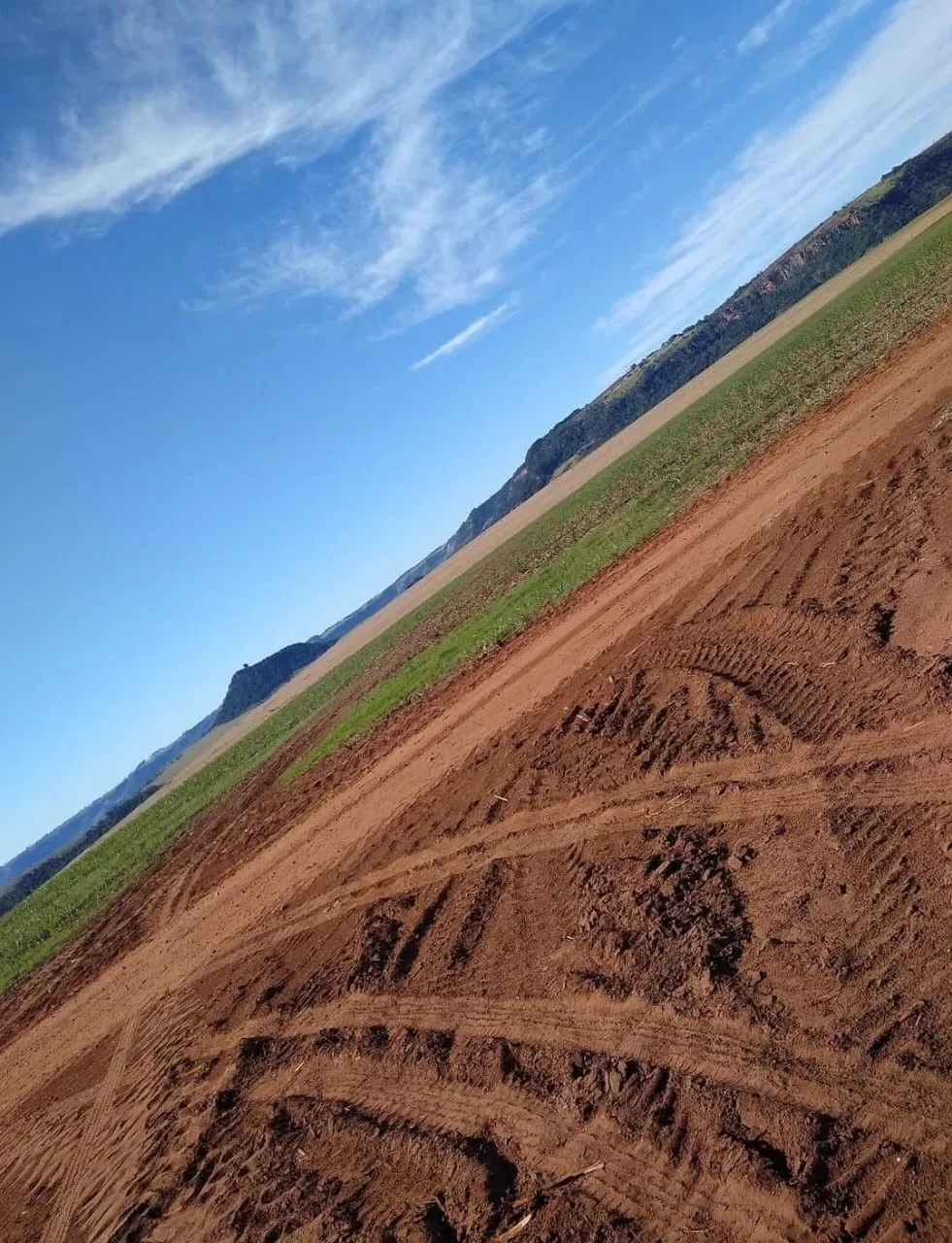 Farm for sale of 855 acres in Santa Maria da Serra, SP, Brazil