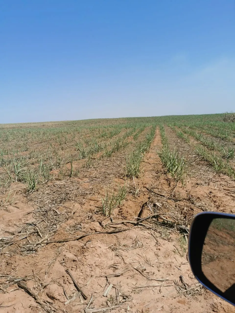 Farm for sale of 855 acres in Santa Maria da Serra, SP, Brazil