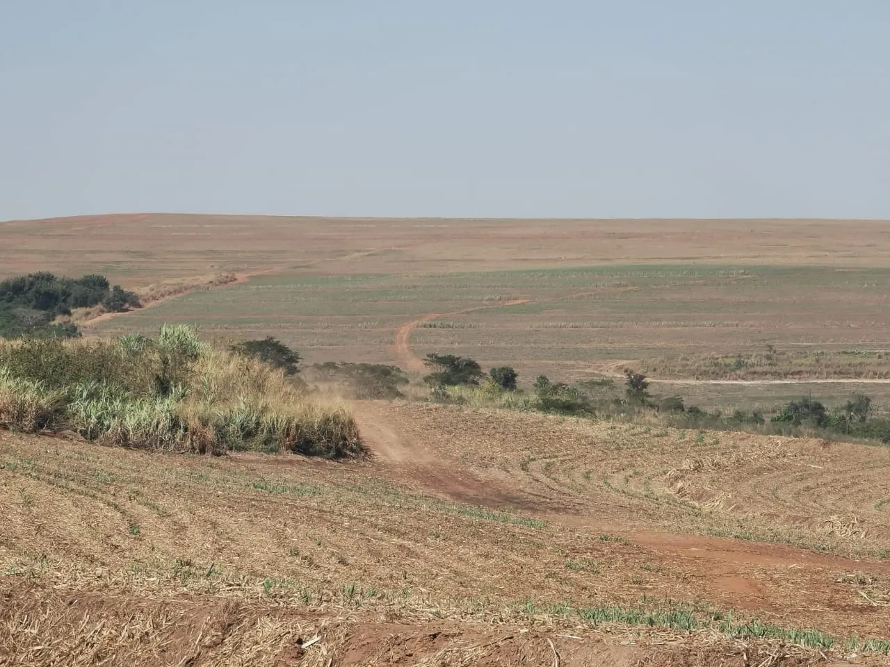 Farm for sale of 855 acres in Santa Maria da Serra, SP, Brazil