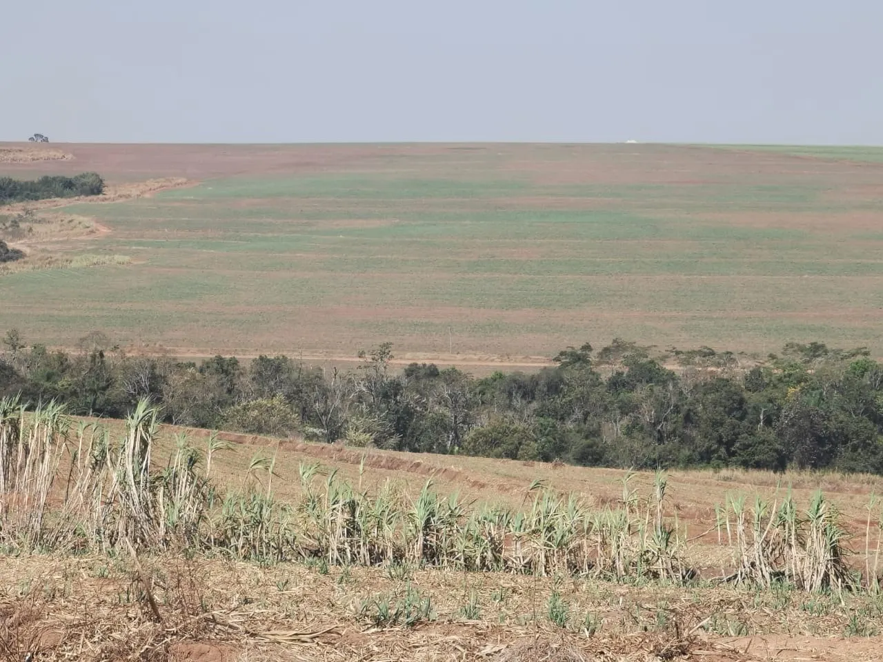 Farm for sale of 855 acres in Santa Maria da Serra, SP, Brazil