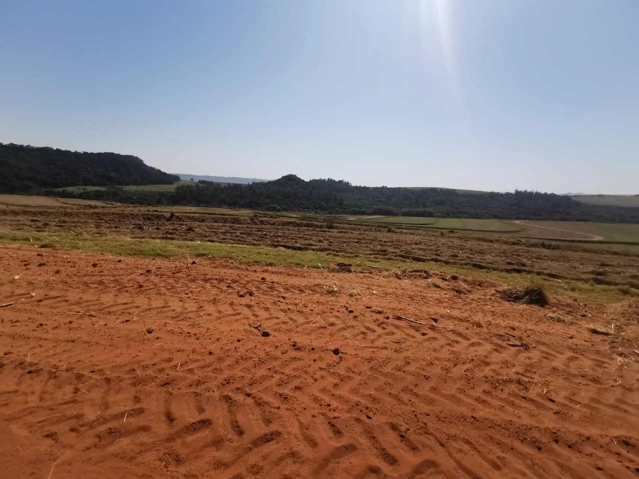 Farm for sale of 855 acres in Santa Maria da Serra, SP, Brazil