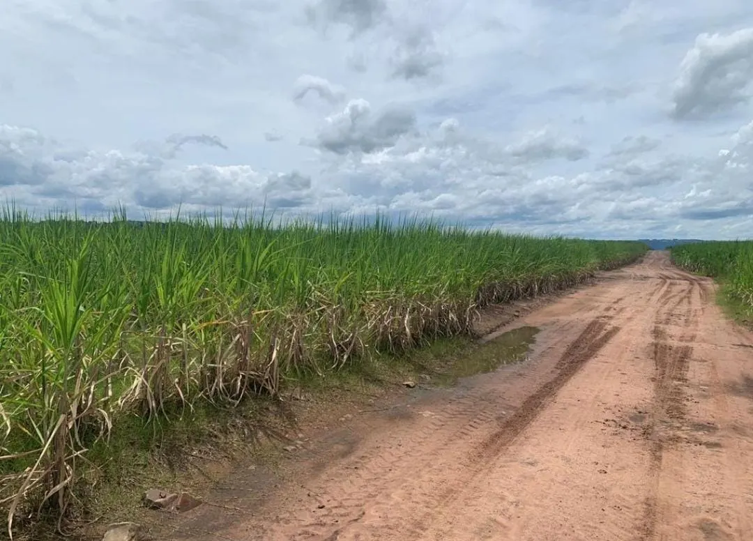 Farm for sale of 855 acres in Santa Maria da Serra, SP, Brazil