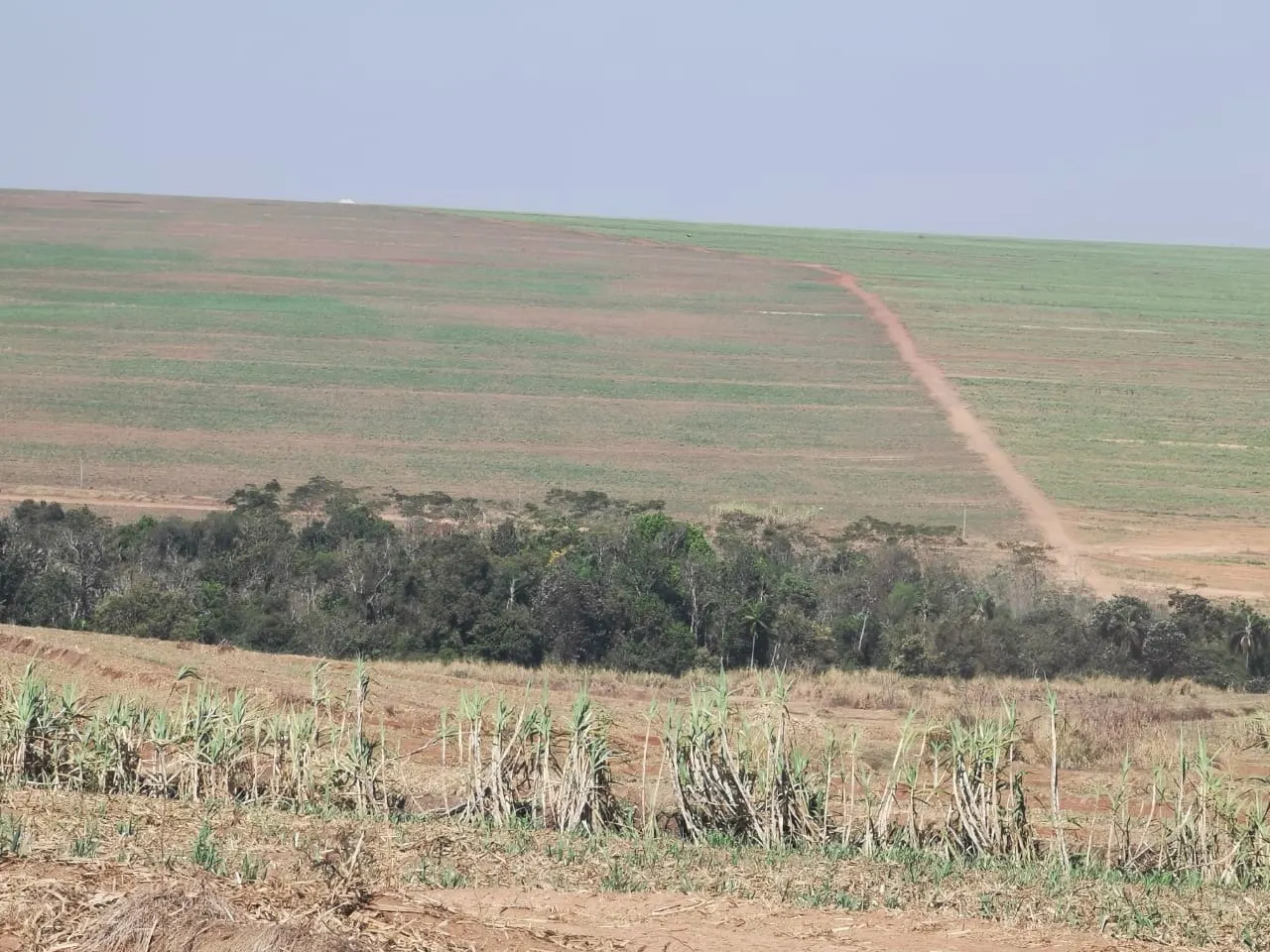 Farm for sale of 855 acres in Santa Maria da Serra, SP, Brazil