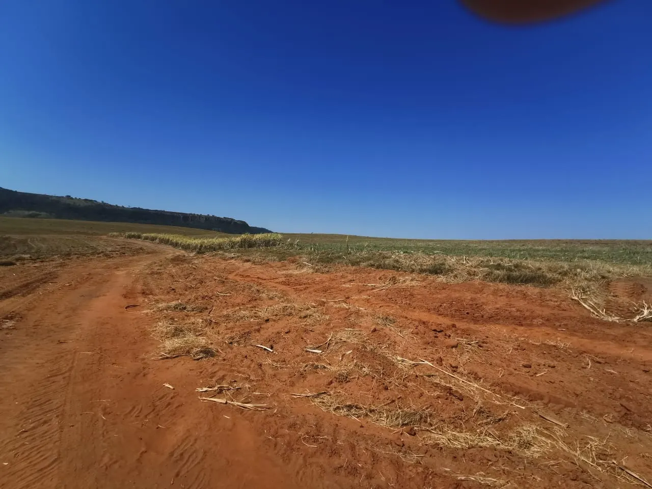 Farm for sale of 855 acres in Santa Maria da Serra, SP, Brazil