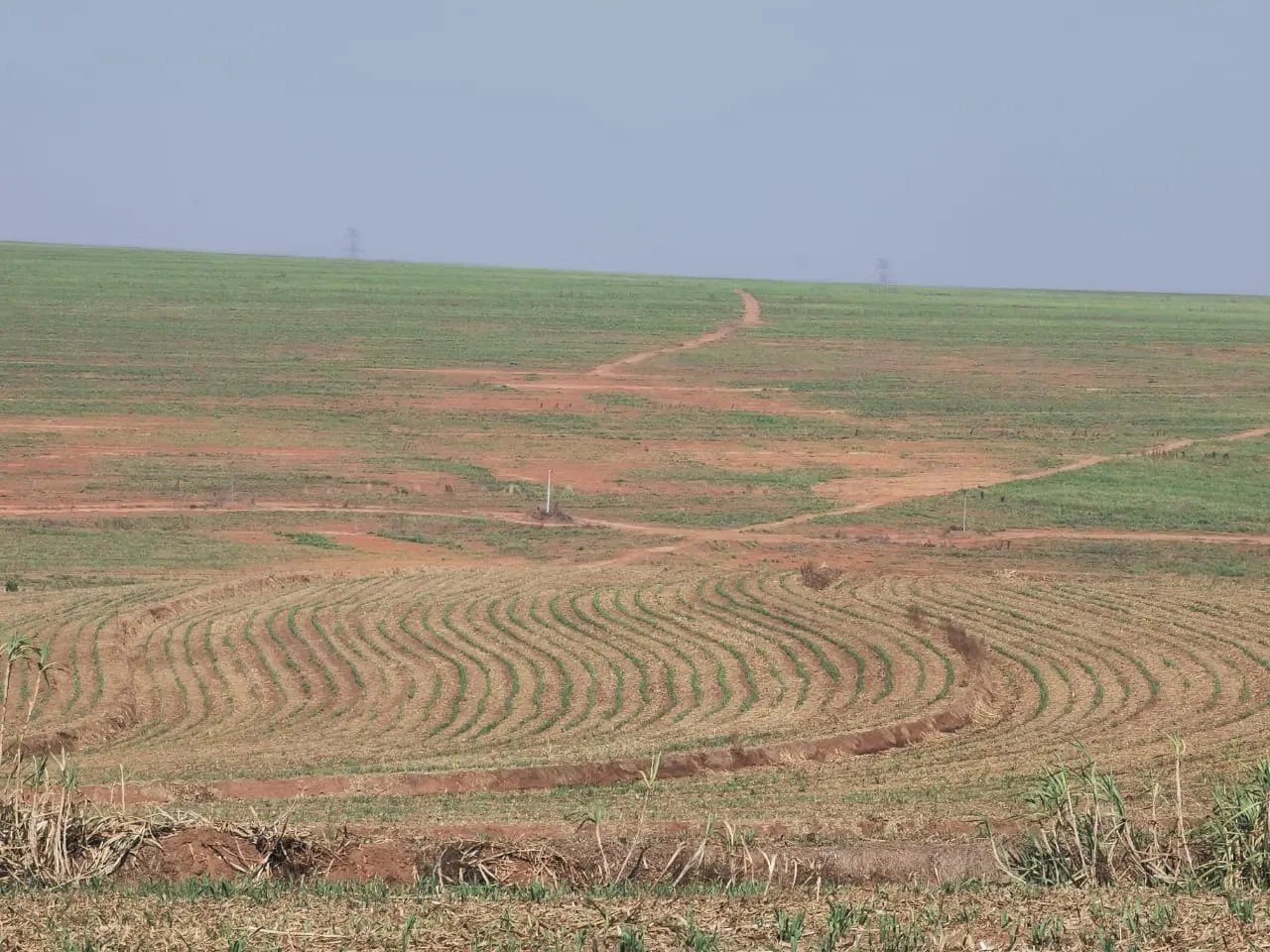 Farm for sale of 855 acres in Santa Maria da Serra, SP, Brazil