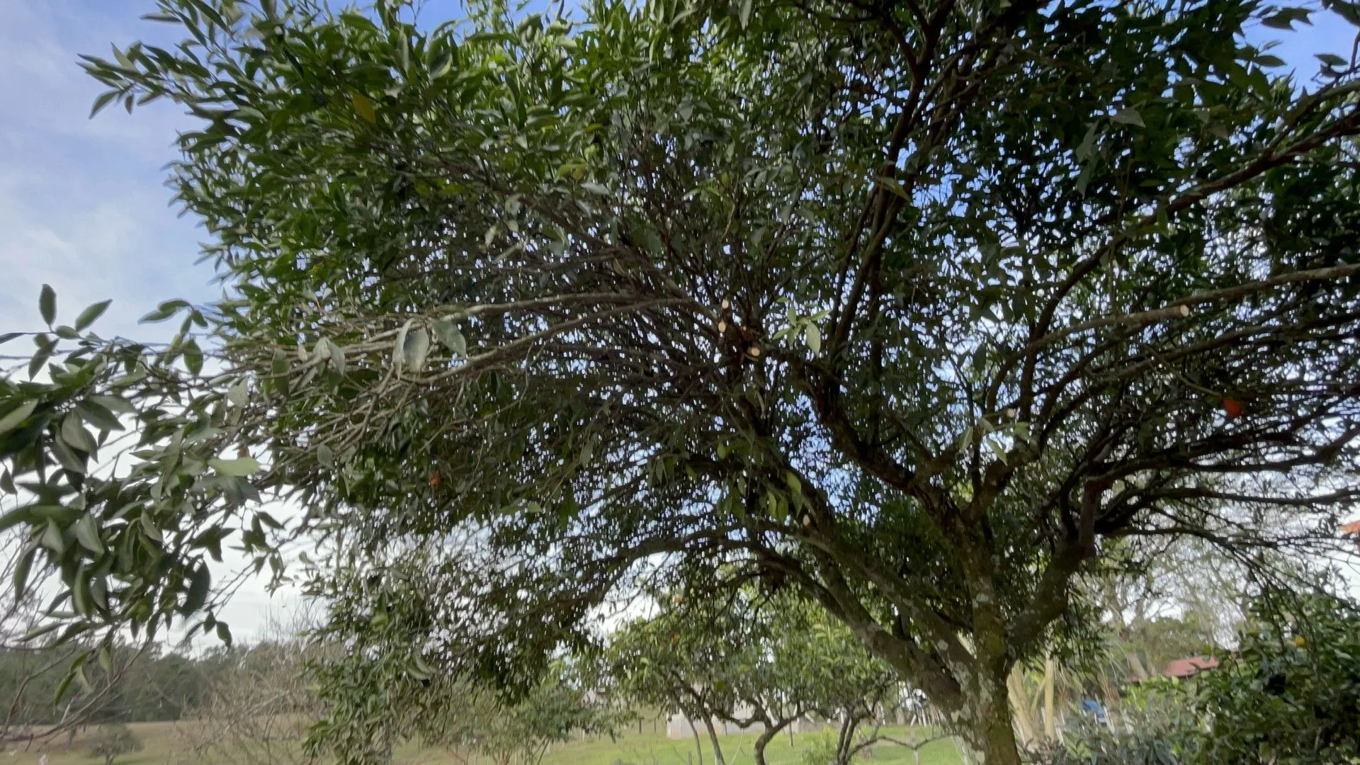 Country home for sale of 7 acres in Taquara, RS, Brazil