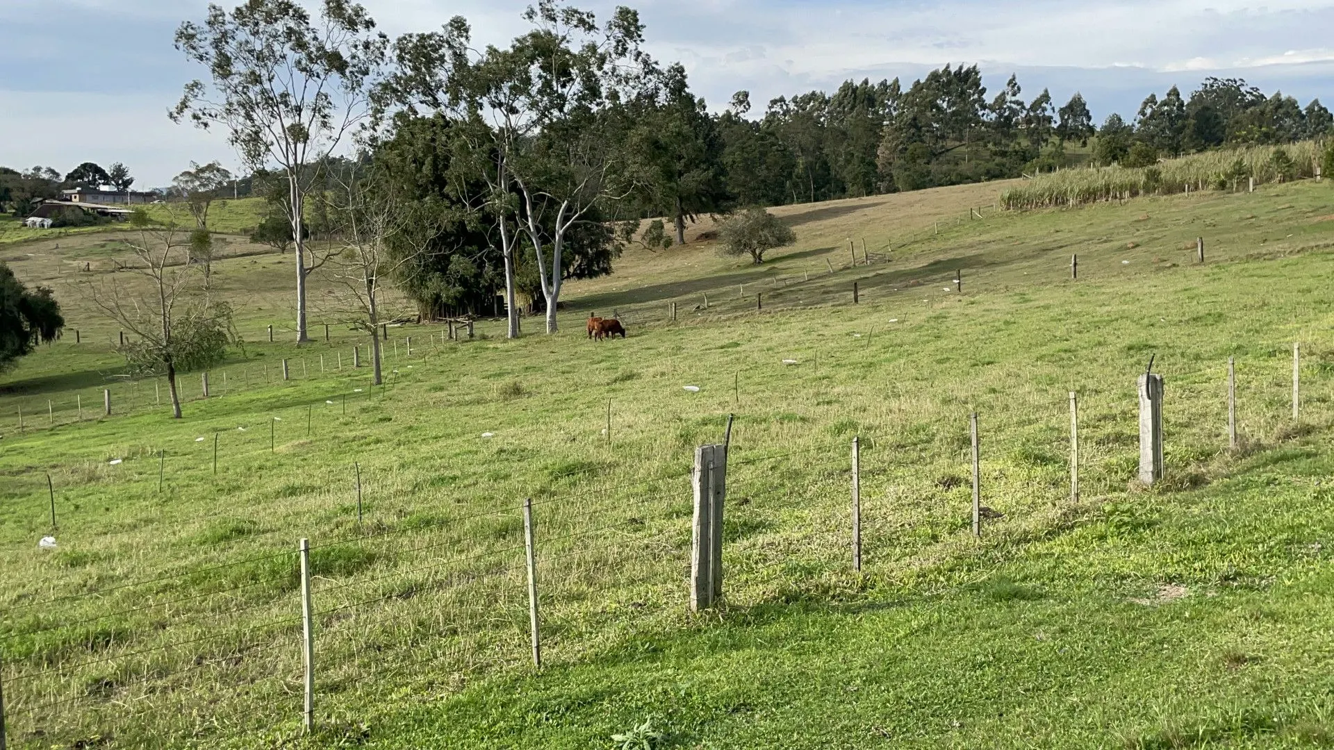 Country home for sale of 7 acres in Taquara, RS, Brazil