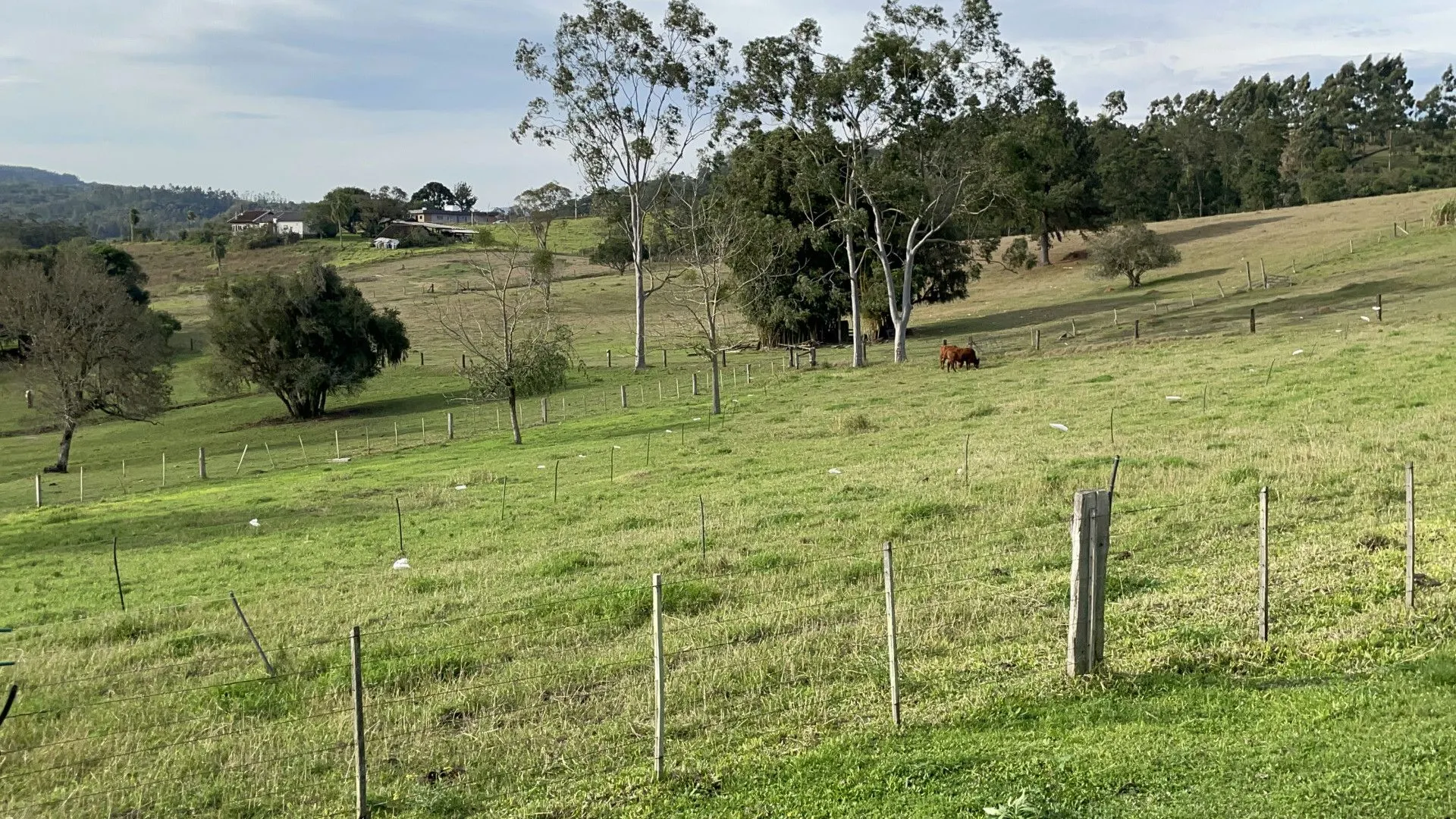 Country home for sale of 7 acres in Taquara, RS, Brazil