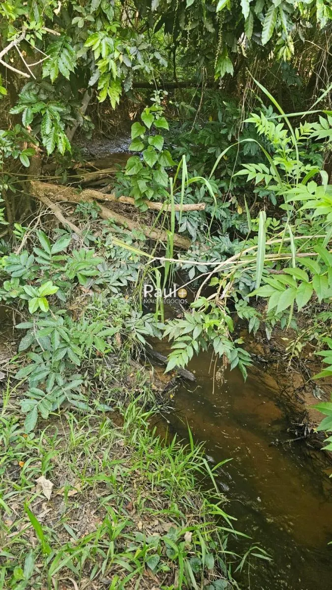 Chácara à venda de 2 ha em Campinas, SP, Brasil
