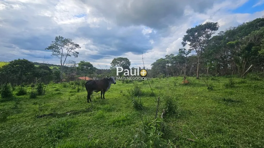 Chácara à venda de 2 ha em Campinas, SP, Brasil