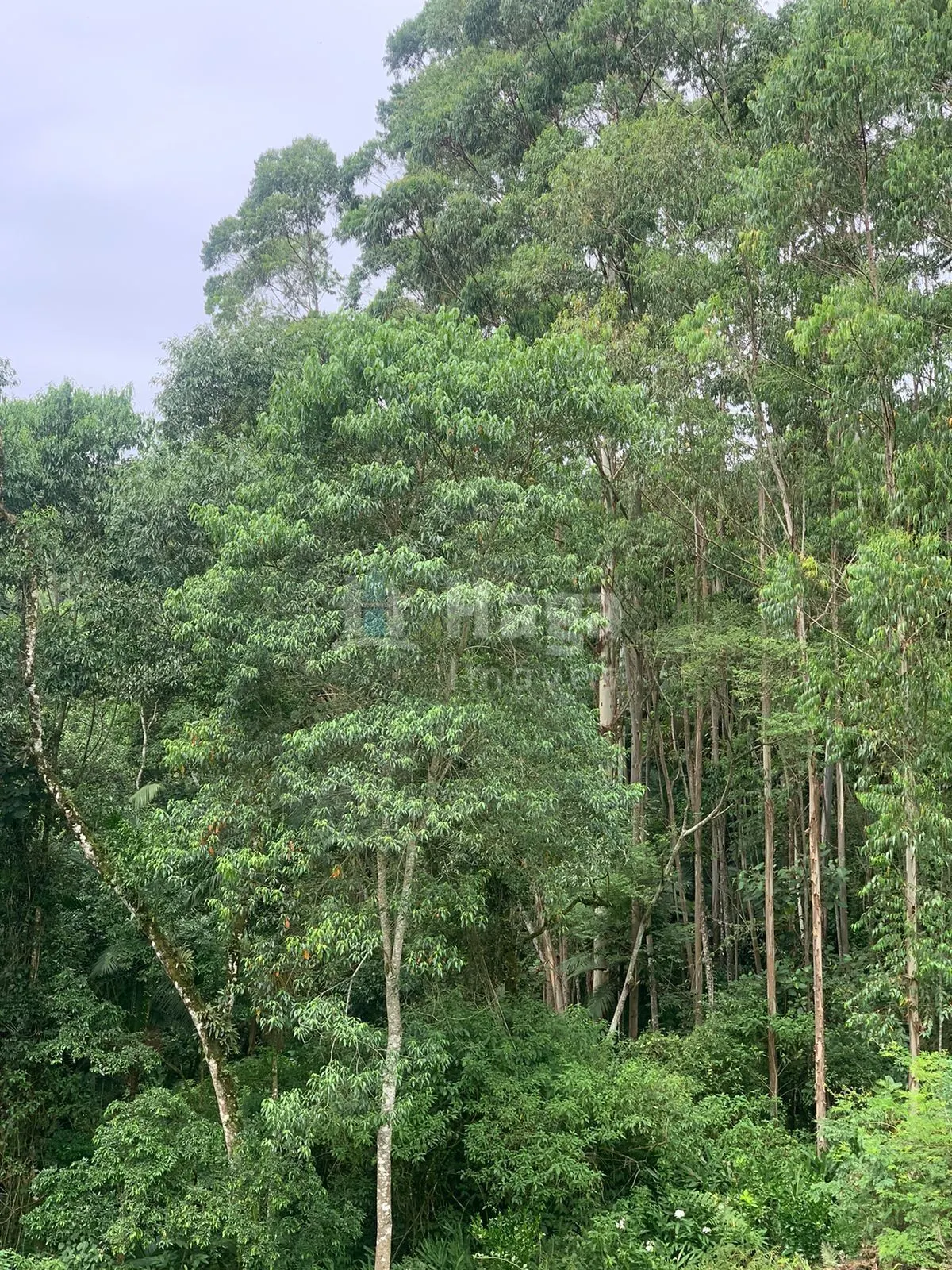 Chácara à venda de 3.300 m² em Águas Mornas, SC, Brasil