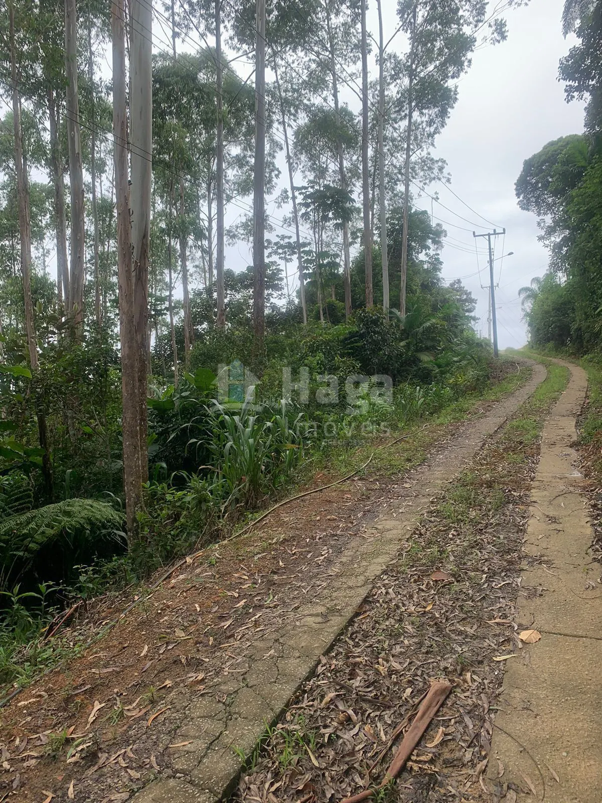 Chácara à venda de 3.300 m² em Águas Mornas, SC, Brasil
