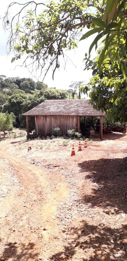 Small farm for sale of 77 acres in Cornélio Procópio, PR, Brazil