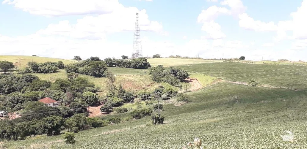 Small farm for sale of 77 acres in Cornélio Procópio, PR, Brazil