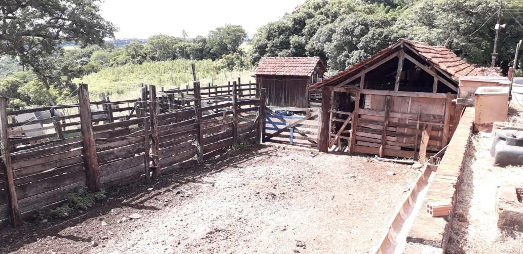 Small farm for sale of 77 acres in Cornélio Procópio, PR, Brazil