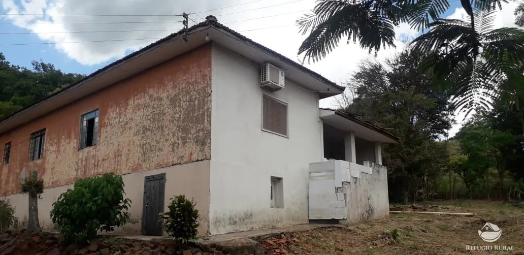 Sítio à venda de 31 ha em Cornélio Procópio, PR, Brasil