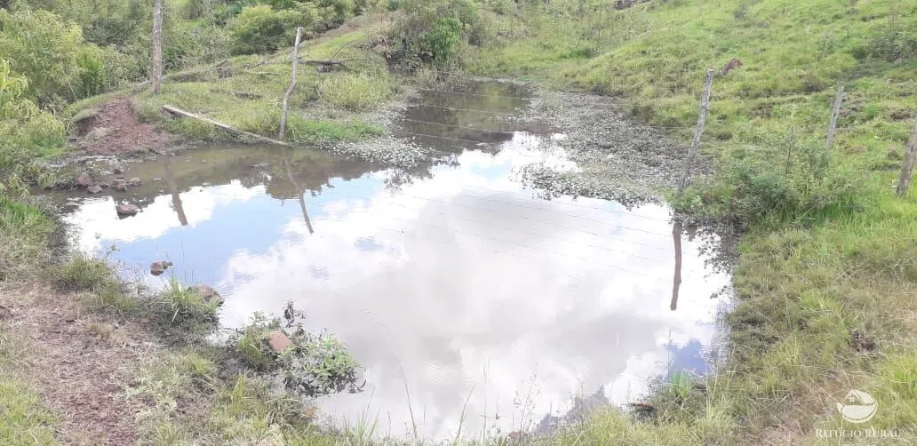 Small farm for sale of 77 acres in Cornélio Procópio, PR, Brazil