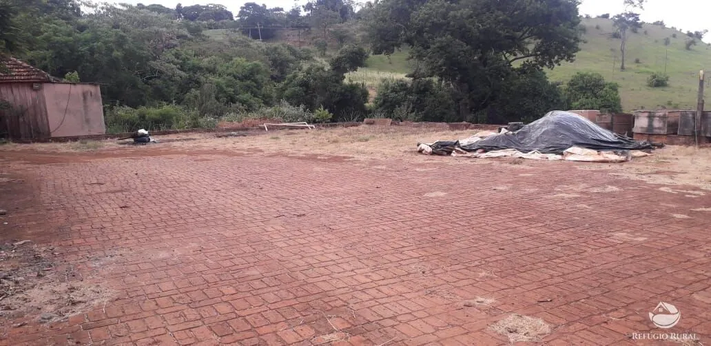 Small farm for sale of 77 acres in Cornélio Procópio, PR, Brazil