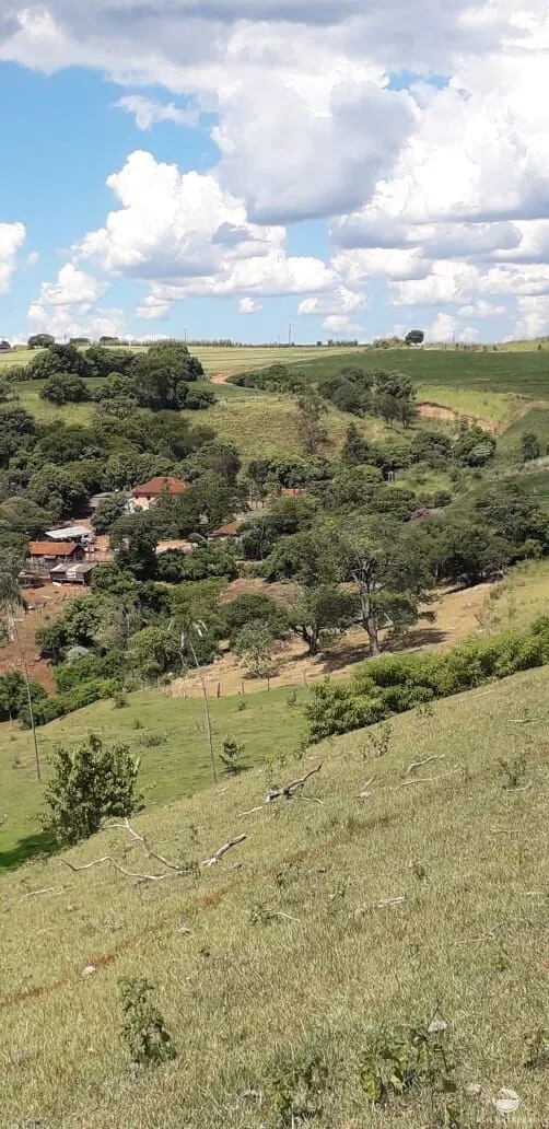 Small farm for sale of 77 acres in Cornélio Procópio, PR, Brazil
