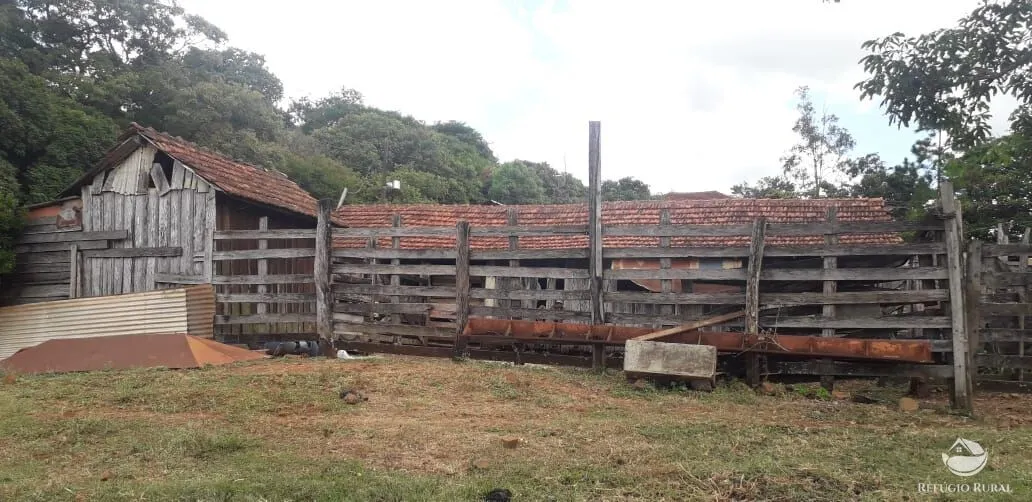 Small farm for sale of 77 acres in Cornélio Procópio, PR, Brazil