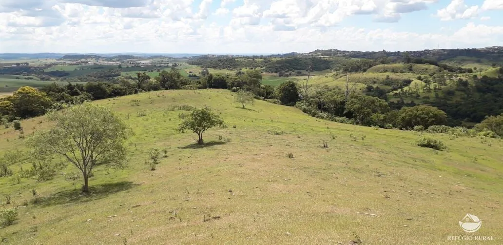 Small farm for sale of 77 acres in Cornélio Procópio, PR, Brazil