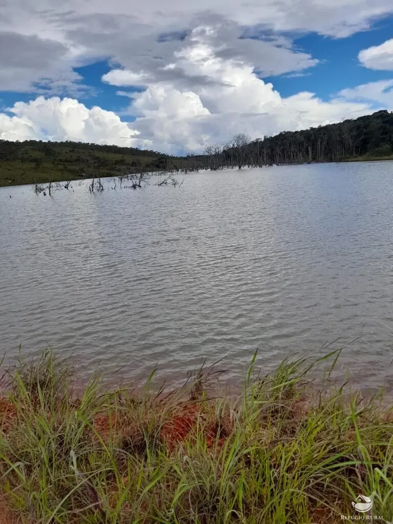 Fazenda à venda e para Arrendar de 2.000 ha em São João d'Aliança, GO, Brasil