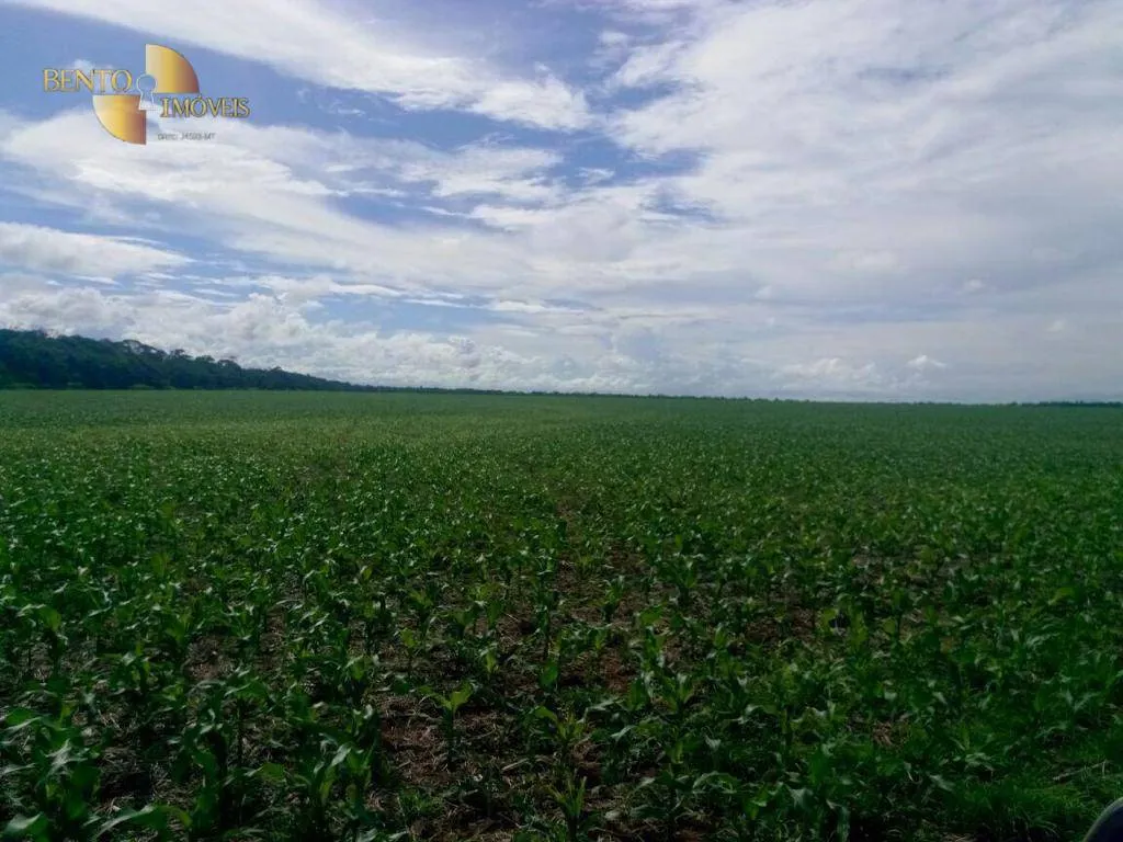 Fazenda à venda e para Arrendar de 2.498 ha em Nova Maringá, MT, Brasil