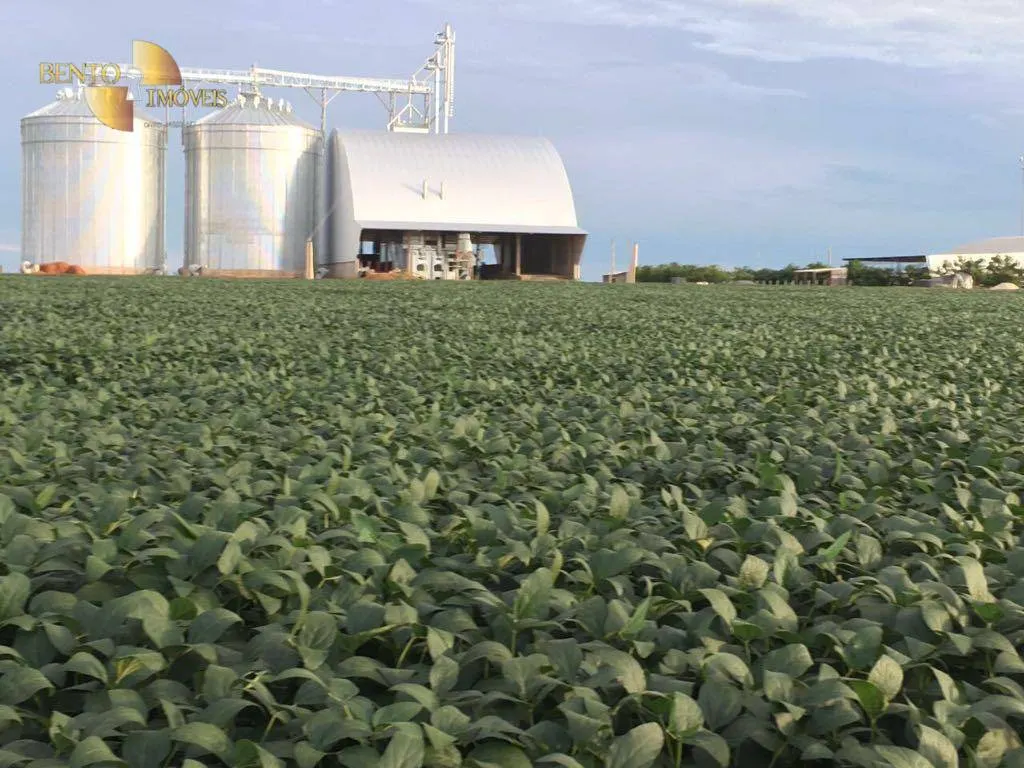 Fazenda à venda e para Arrendar de 2.498 ha em Nova Maringá, MT, Brasil