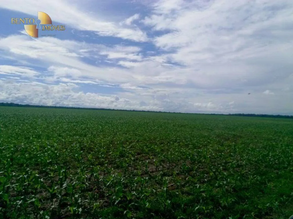 Fazenda à venda e para Arrendar de 2.498 ha em Nova Maringá, MT, Brasil