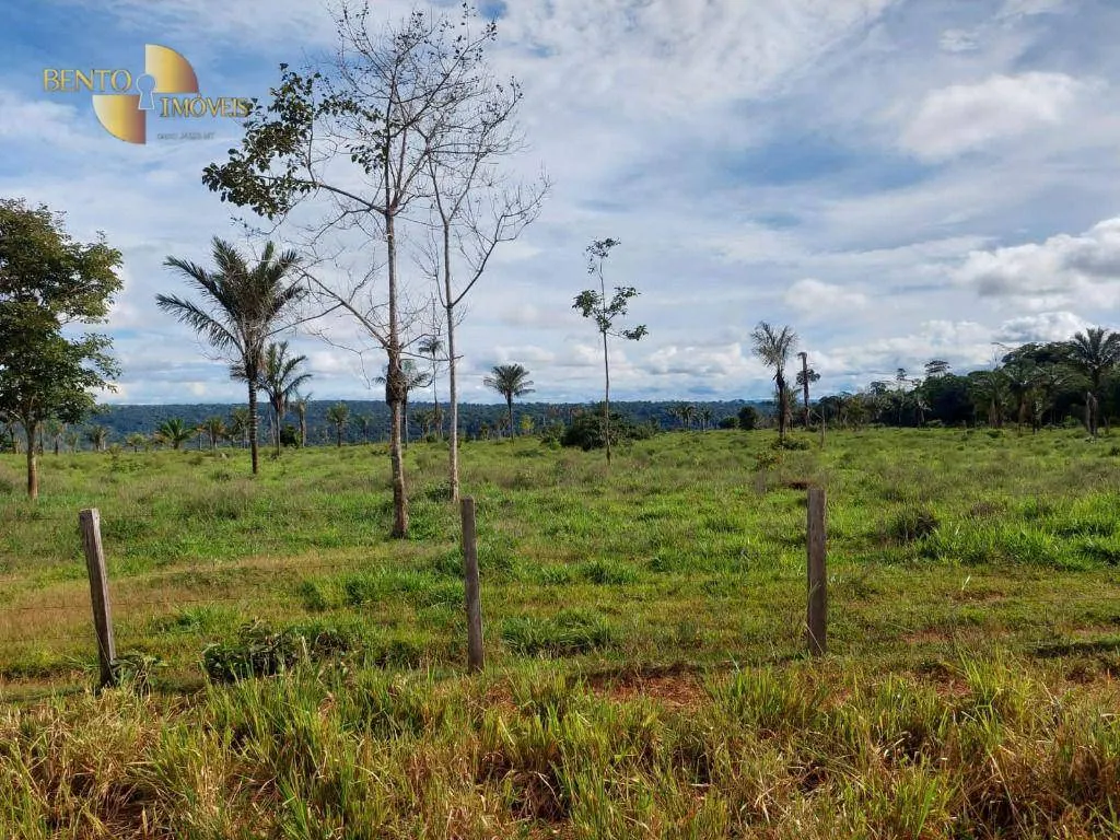 Farm for sale of 7,409 acres in Aripuanã, MT, Brazil