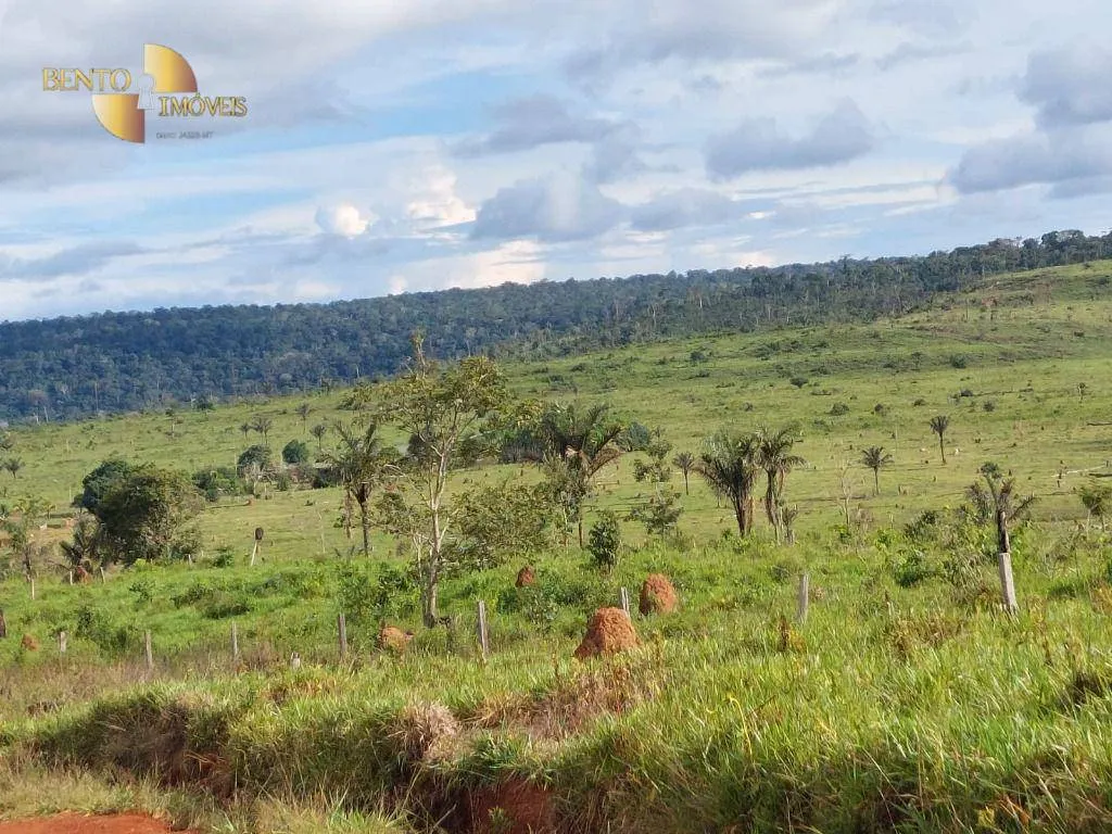 Farm for sale of 7,409 acres in Aripuanã, MT, Brazil