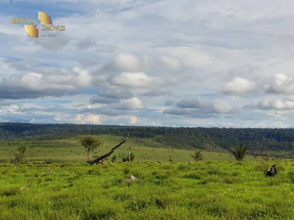 Farm for sale of 7,409 acres in Aripuanã, MT, Brazil