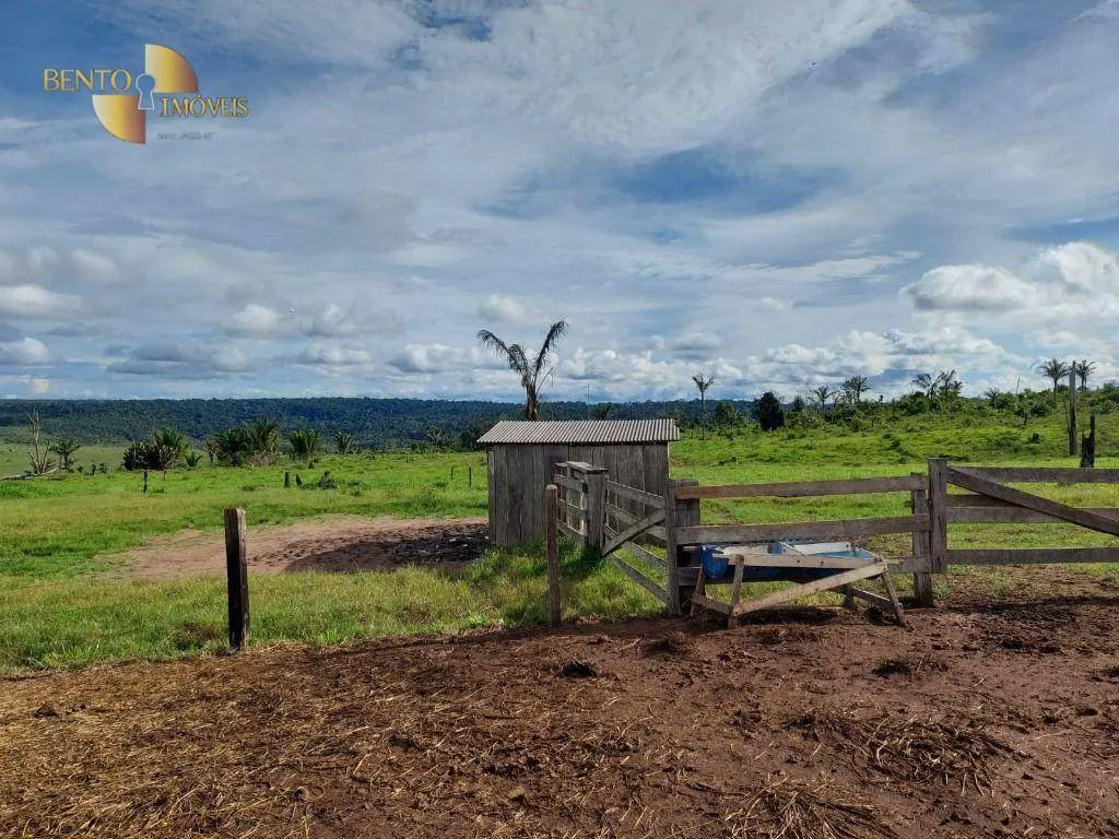 Farm for sale of 7,409 acres in Aripuanã, MT, Brazil