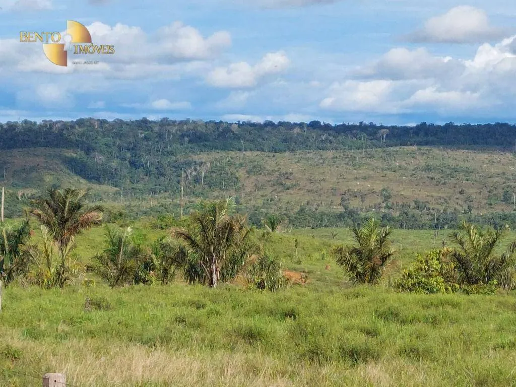 Farm for sale of 7,409 acres in Aripuanã, MT, Brazil